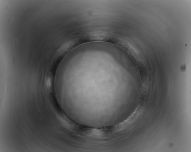 X0000103140166200808291347