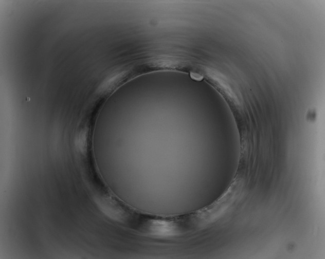 X0000103140167200808291347