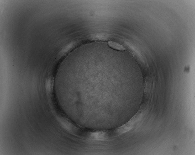 X0000103140168200808291347