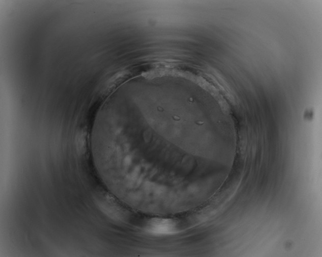 X0000103140169200808291347