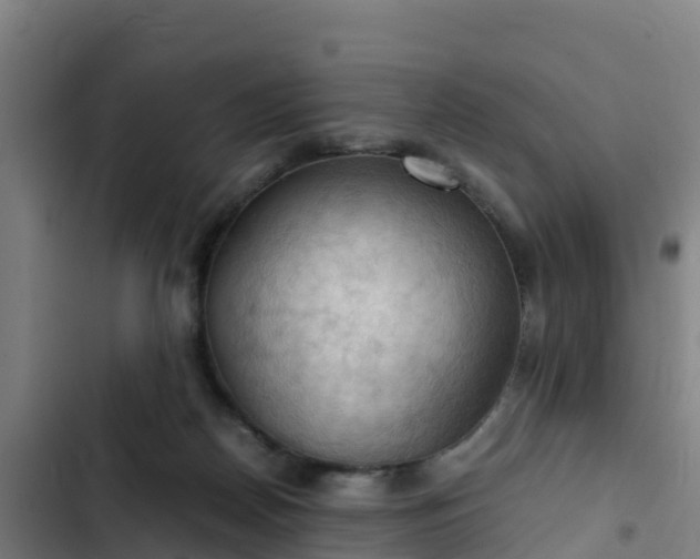 X0000103140170200808291347