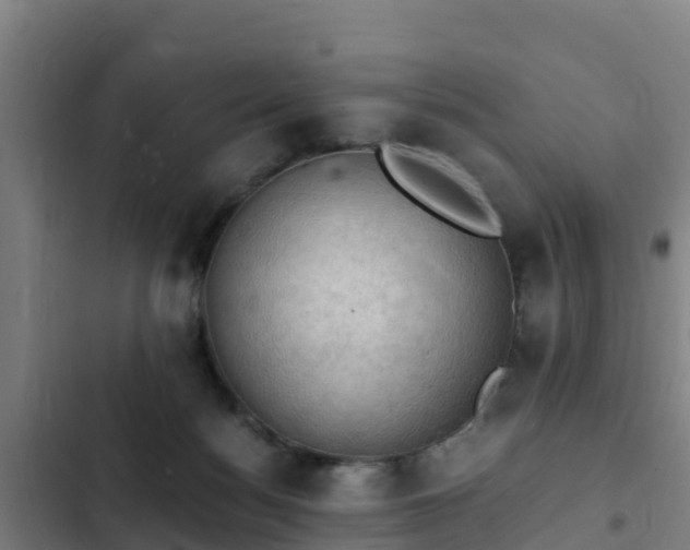 X0000103140172200808291348