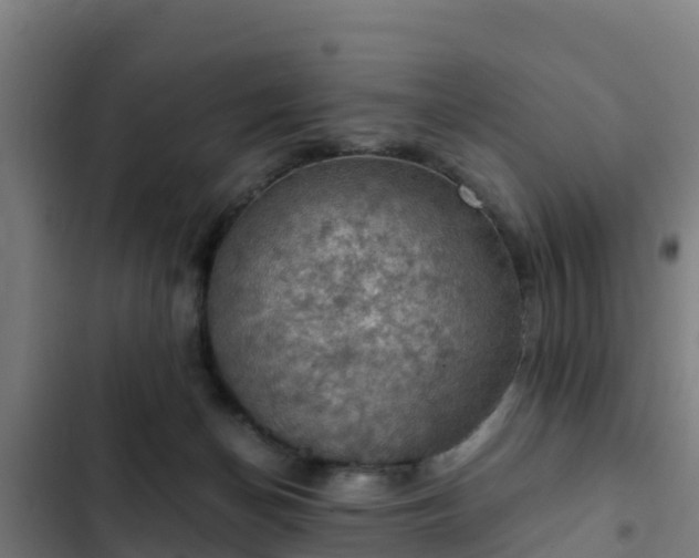 X0000103140174200808291348