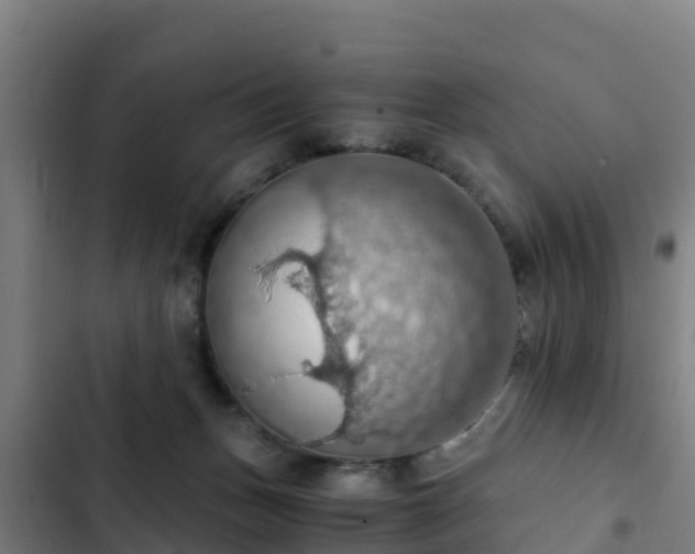 X0000103140175200808291348