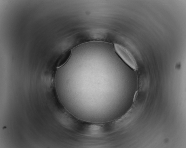 X0000103140176200808291348