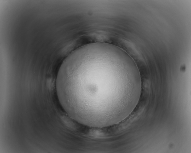 X0000103140177200808291348