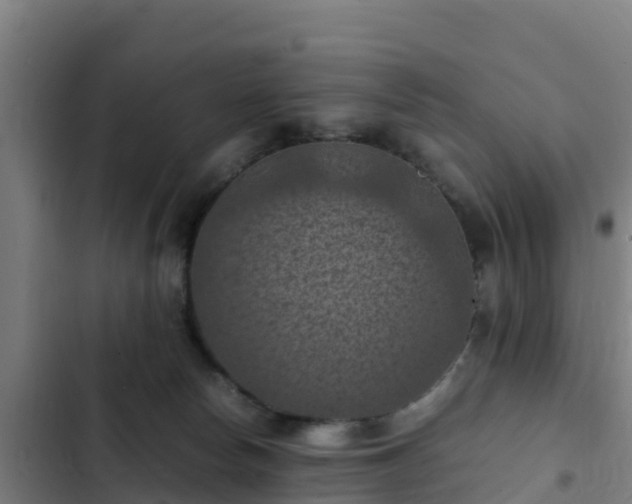 X0000103140178200808291348