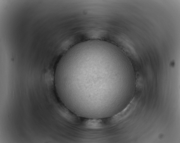 X0000103140179200808291348