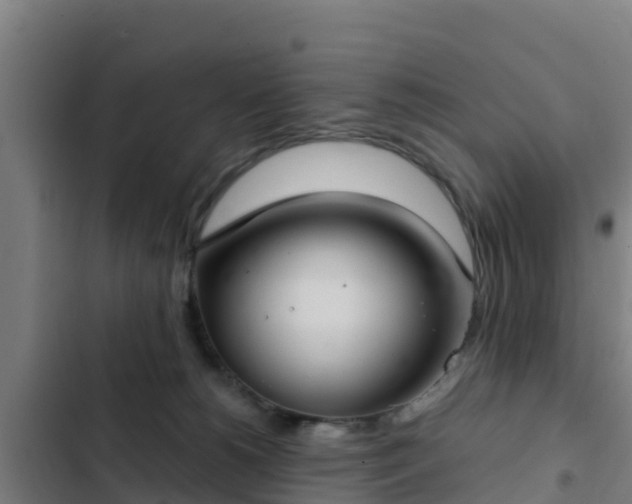 X0000103140180200808291348