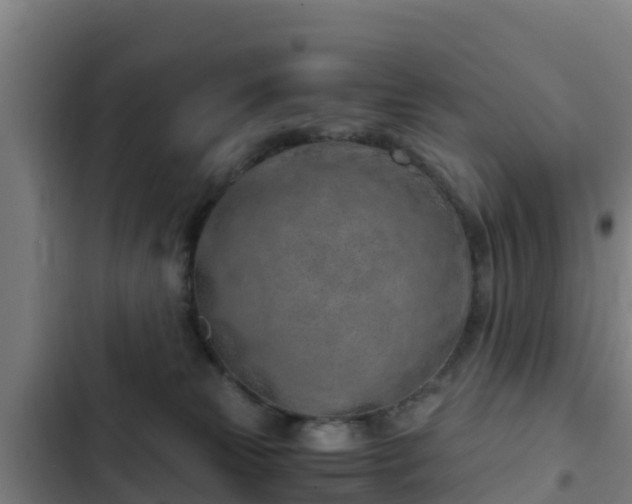 X0000103140181200808291348