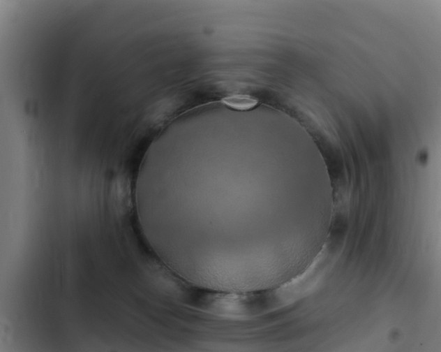 X0000103140182200808291348