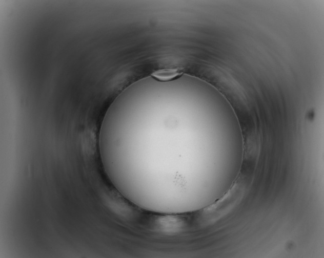 X0000103140183200808291348