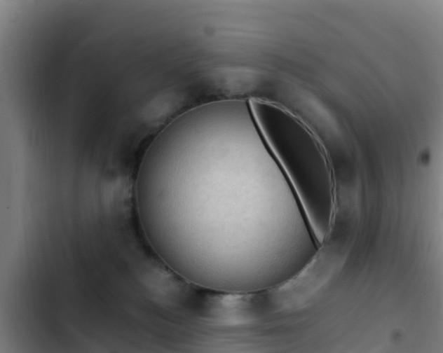 X0000103140184200808291348