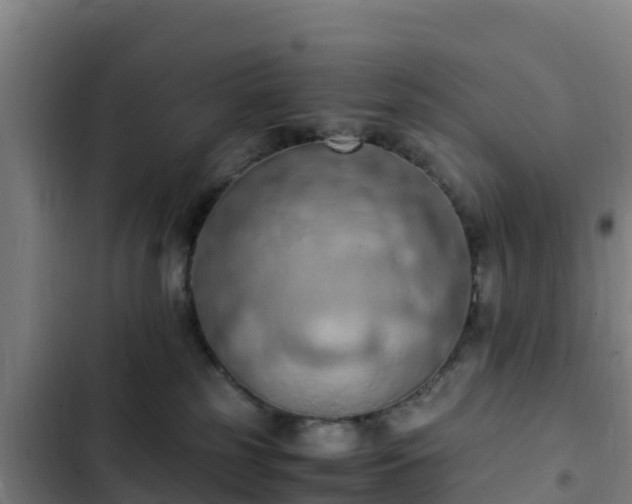 X0000103140185200808291348