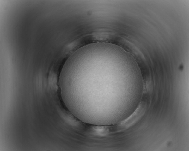 X0000103140187200808291348