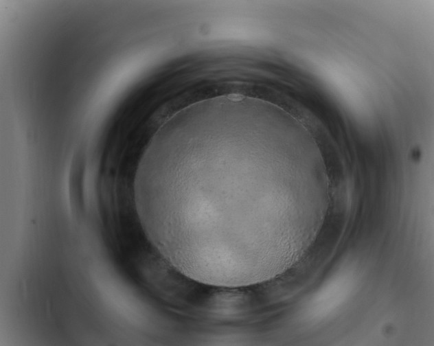 X0000103140189200808291348