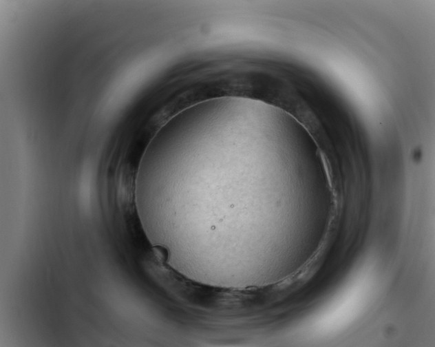 X0000103140190200808291348