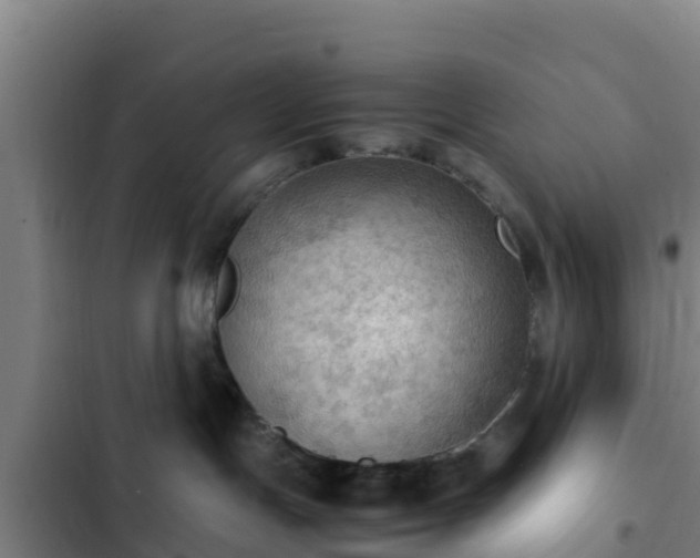 X0000103140191200808291348