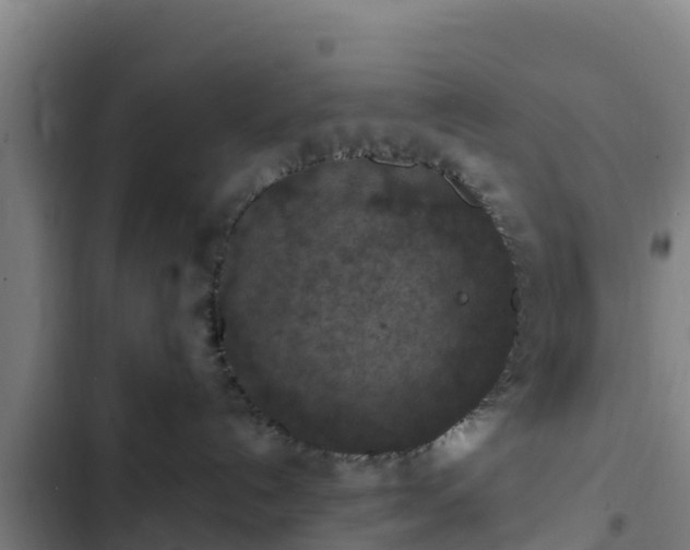 X0000103140192200808291348