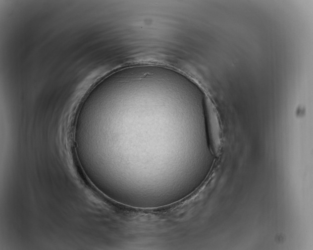 X0000103140193200808291347