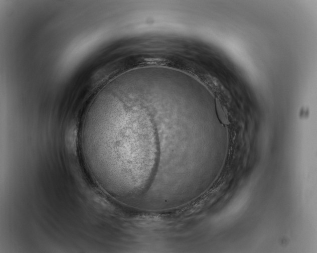 X0000103140194200808291347