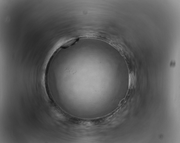 X0000103140195200808291347