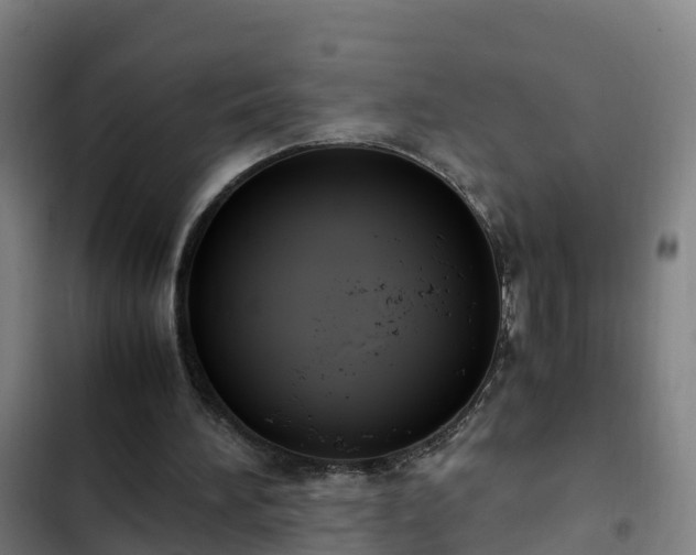 X0000103140196200808291347