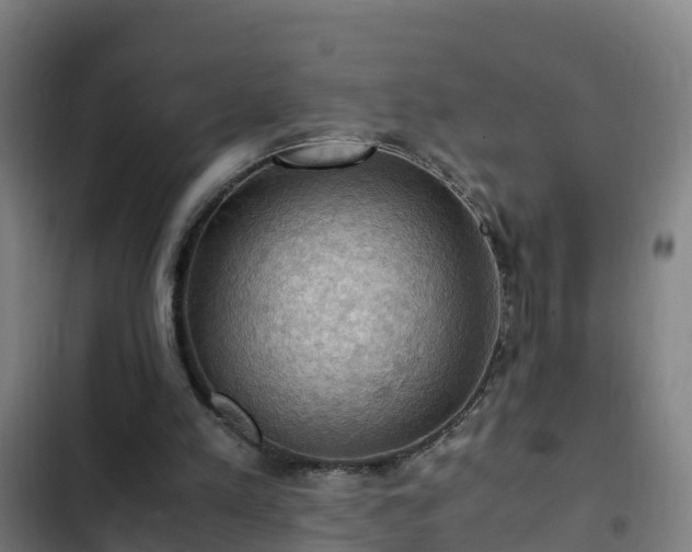 X0000103140197200808291347