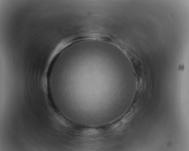 X0000103140198200808291347