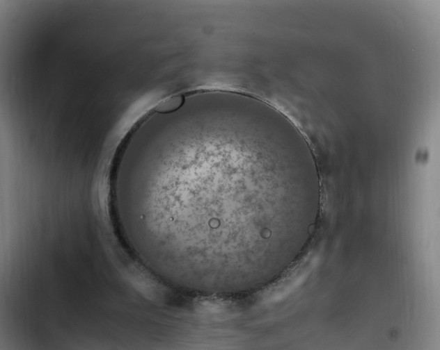 X0000103140199200808291347