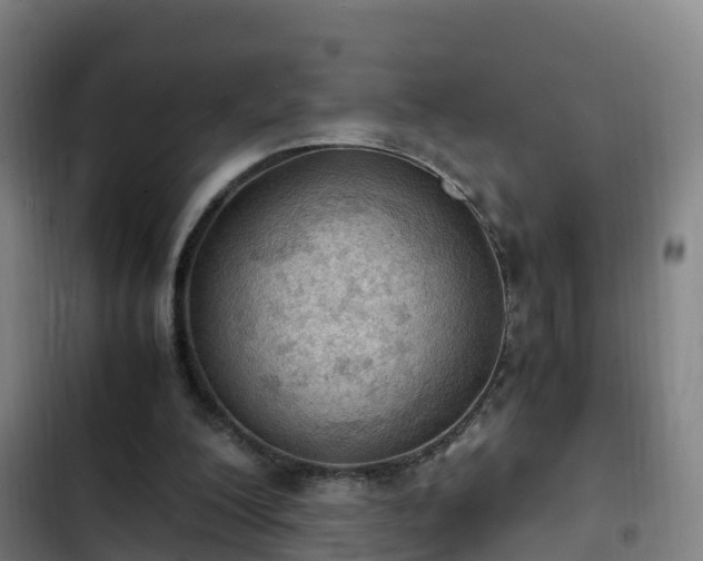 X0000103140200200808291347