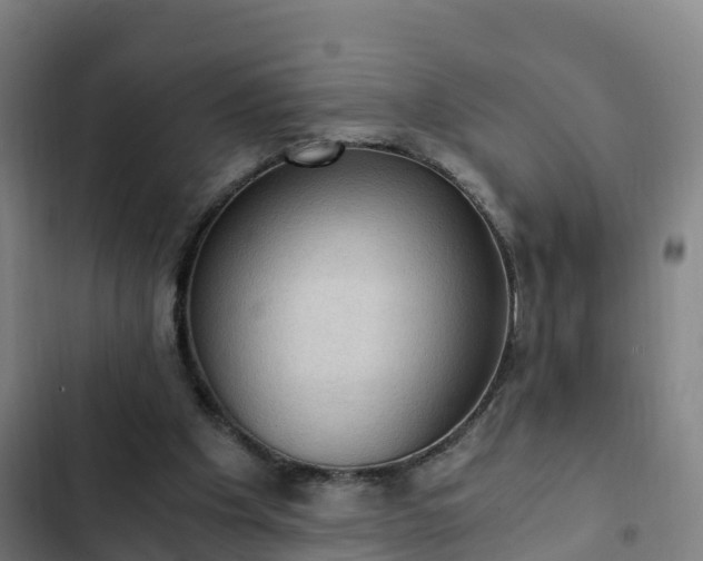 X0000103140201200808291347