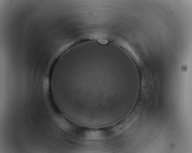 X0000103140202200808291347