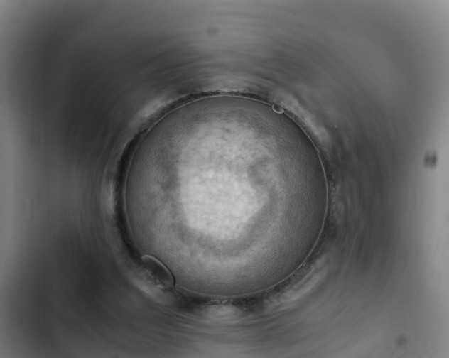 X0000103140203200808291347