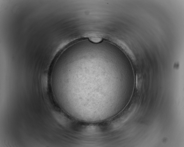 X0000103140204200808291347