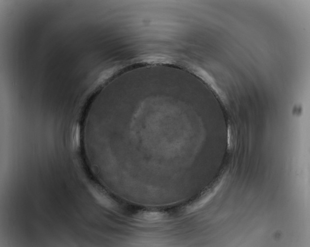 X0000103140205200808291347