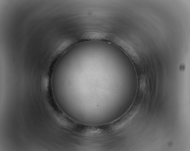 X0000103140206200808291347