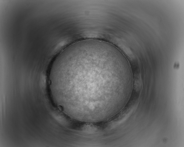 X0000103140207200808291347