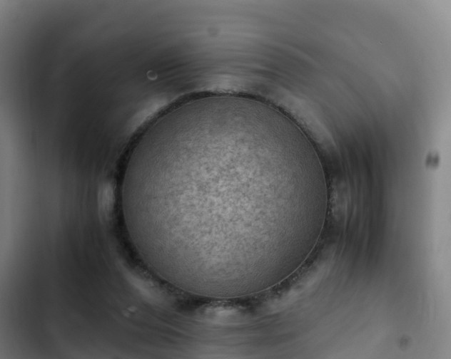 X0000103140208200808291347