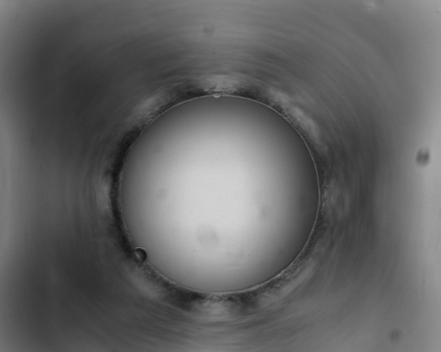 X0000103140209200808291347