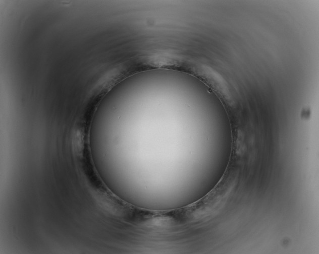 X0000103140210200808291347