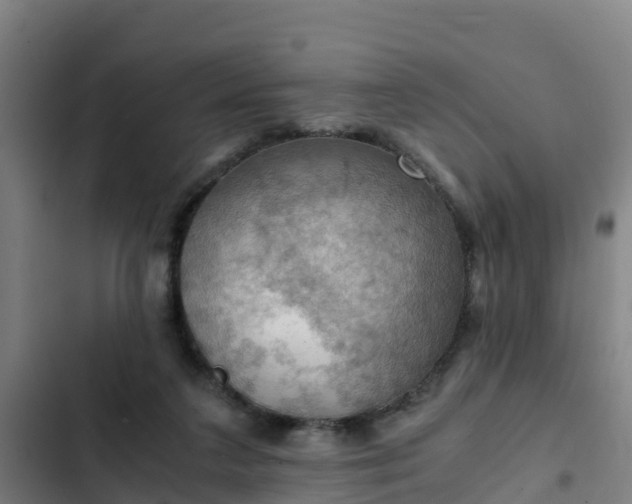 X0000103140211200808291347