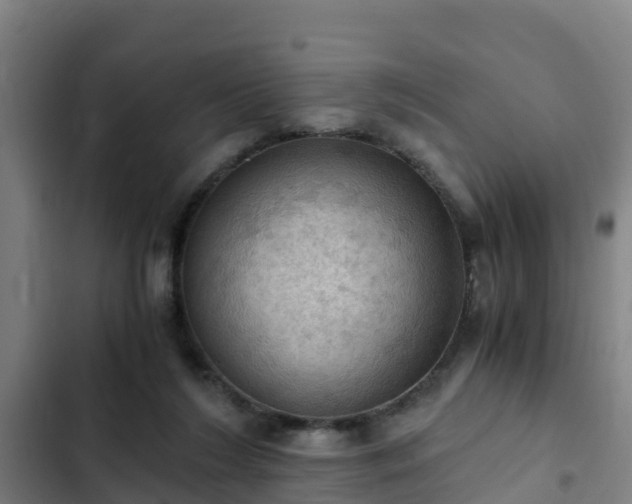 X0000103140212200808291347