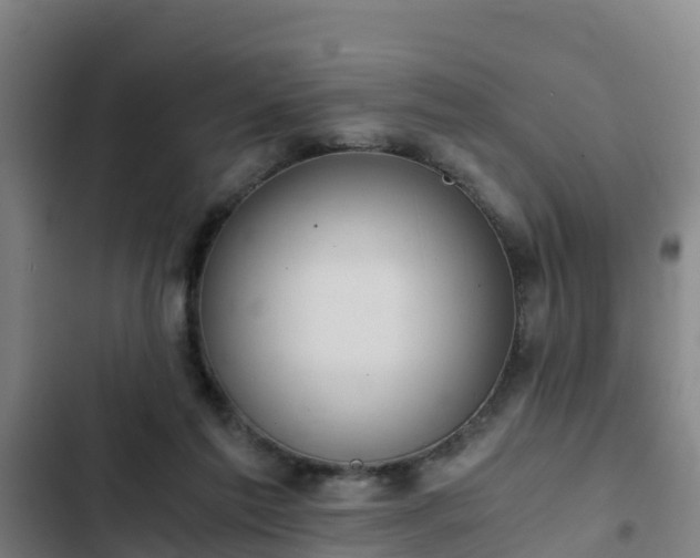 X0000103140213200808291347