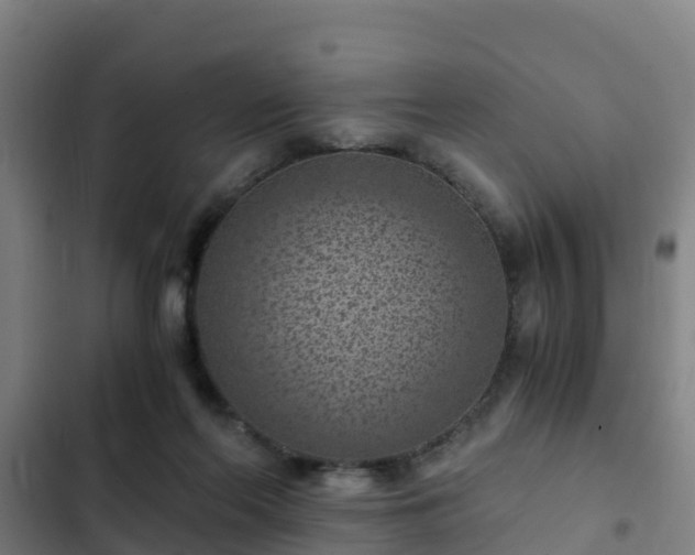 X0000103140214200808291347