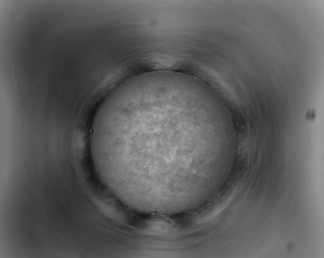 X0000103140215200808291347