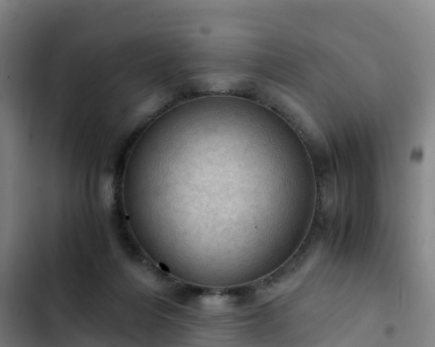 X0000103140216200808291347