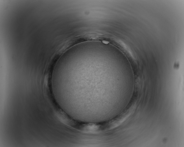 X0000103140217200808291347