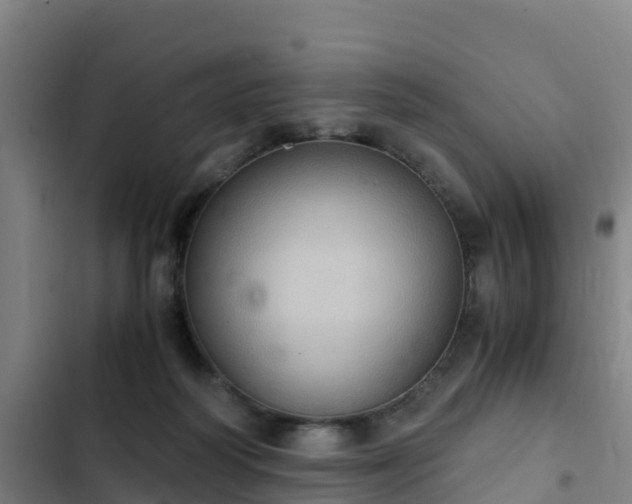 X0000103140218200808291347