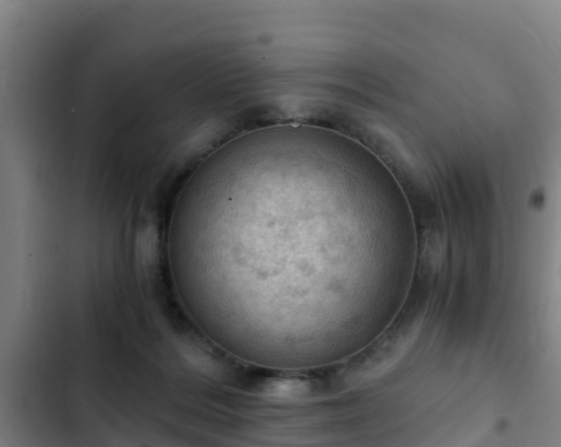 X0000103140220200808291347